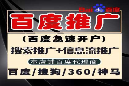 竞价SEM托管案例：精准营销的利器